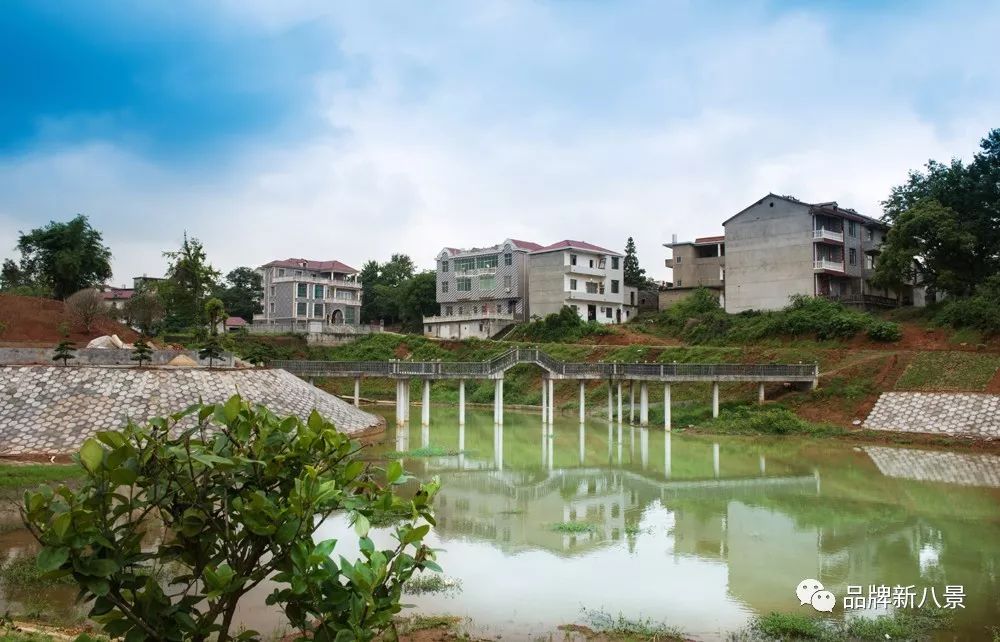 八景胡家坊八景槐山水库八景牌楼舞龙肖江高胡公路八景段八景集镇污水