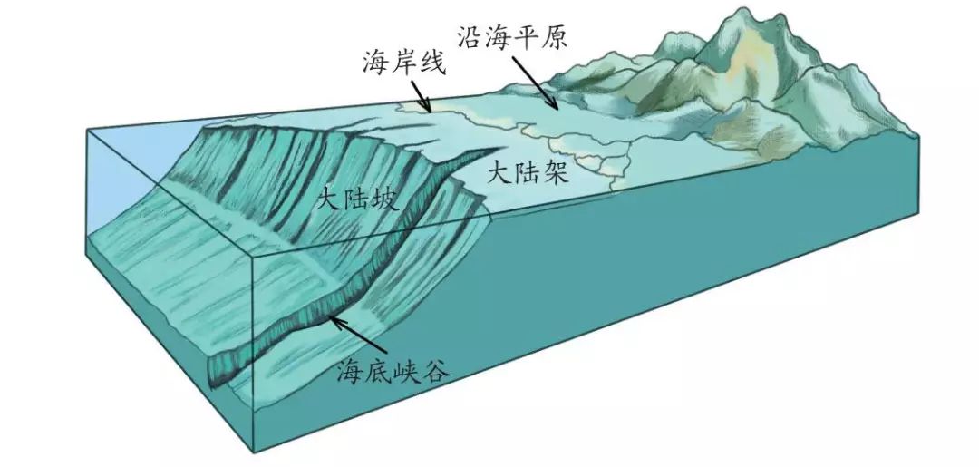 海底地形结构图图片