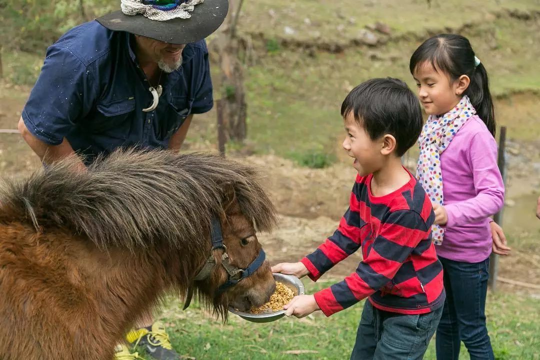 澳洲農場住宿 (downunder farmstays)一直在澳洲各地為大家尋覓理想的