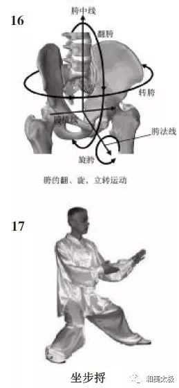 干货太极拳中腰胯的合理运动方式与方法