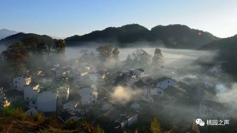 人家屋顶上全笼着一层薄烟密密地斜织着看 像牛毛 像花针 像细丝可别