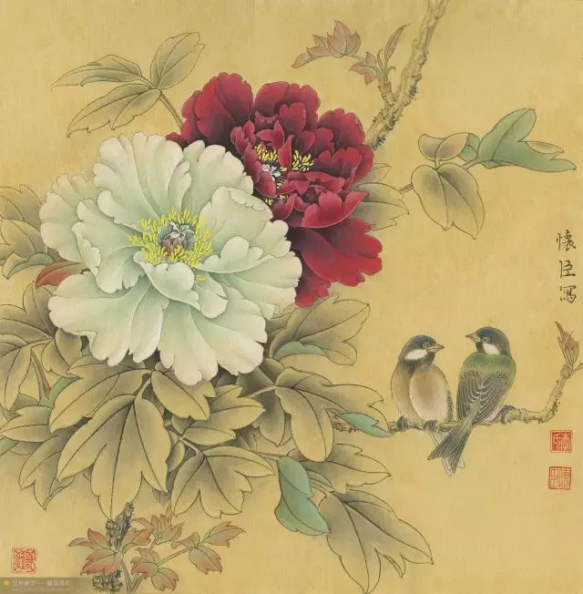 牡丹花工笔画 玫瑰红图片