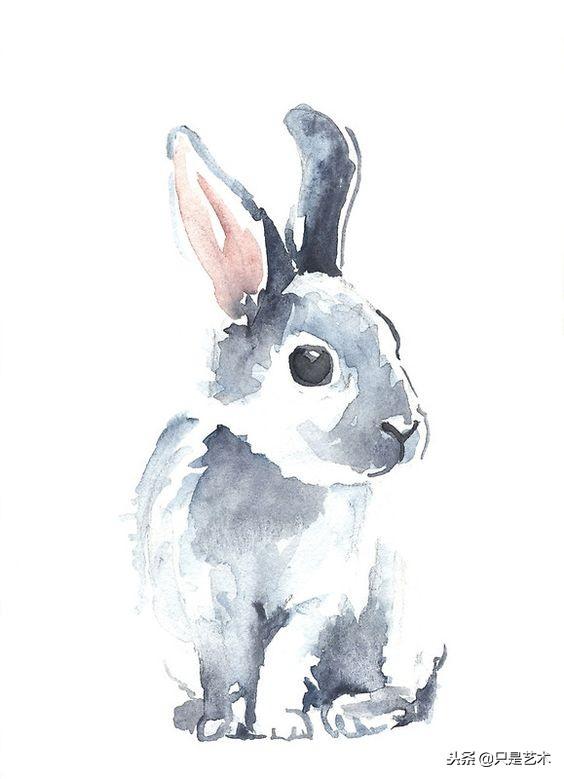 兔子水彩画法图片