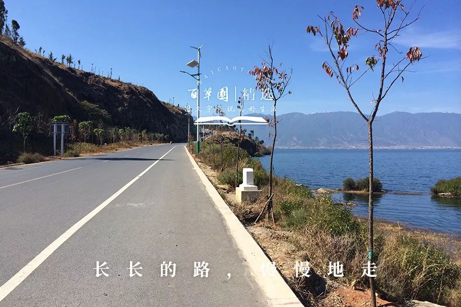 人生,是一条漫长的路.