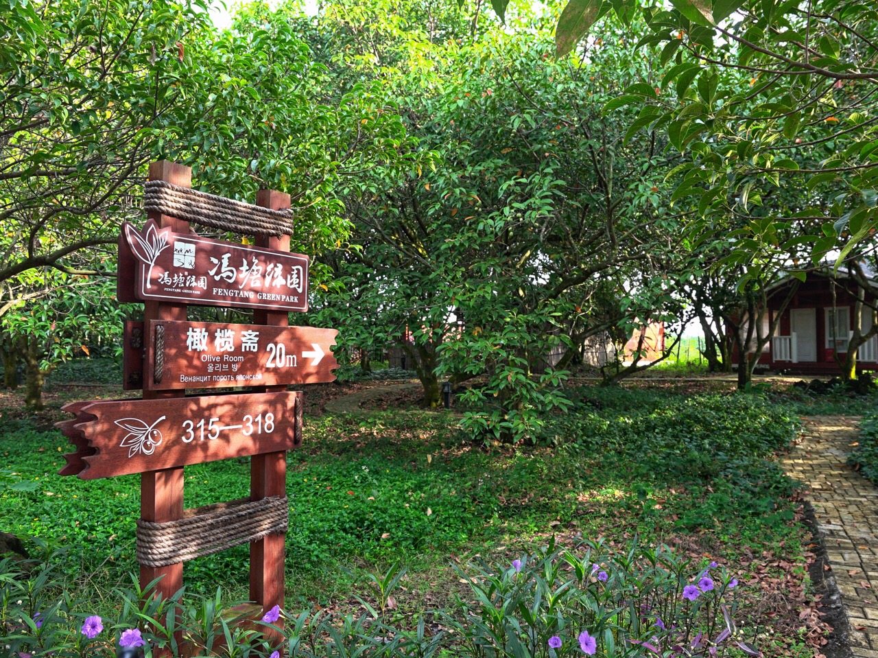 馮塘綠園,歡樂旅行體驗師,帶你遊覽不一樣的海南