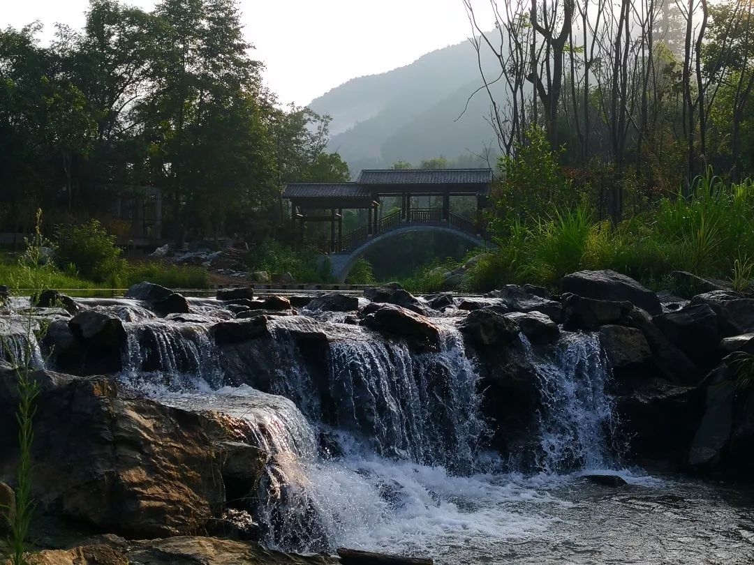 中国汤里森林温泉度假区摘得杰出健康绿色旅游目的地