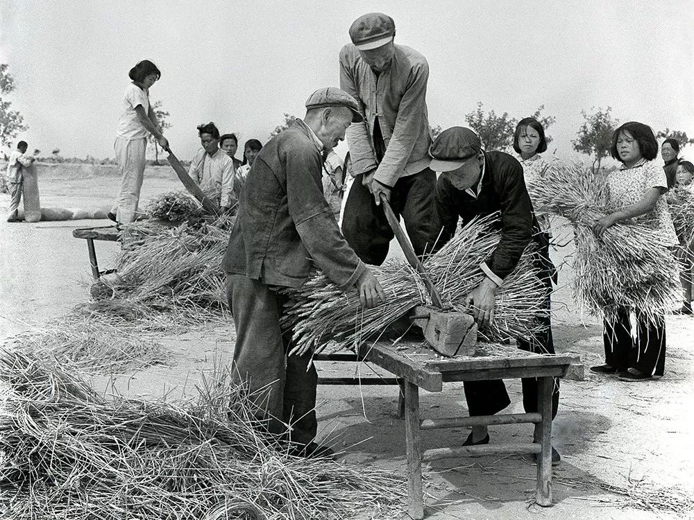 1978年冬天,土地承包拉开了农村改革的序幕,农民从吃不饱饭到吃饱饭