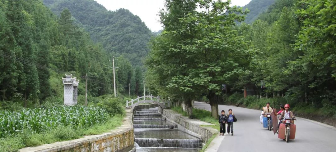 大方县羊场镇图片