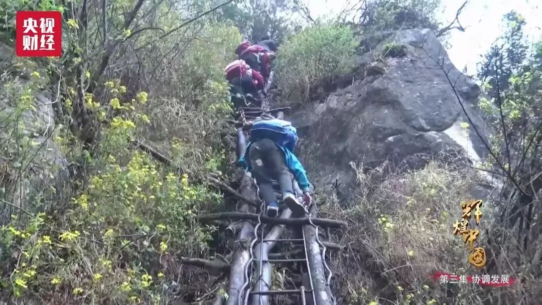 每一次上學都是死裡逃生這部紀錄片翻山涉水上學路一定要和孩子看看