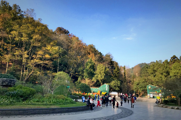 公園內有較多的地下水出露地表形成井泉,形成大羅溪,七星潭谷地以及