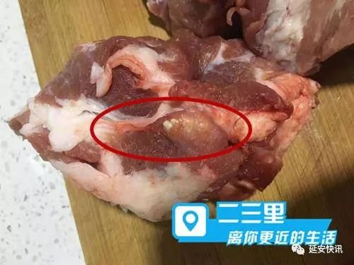图片显示一整块猪肉中白色肉边缘看见些许白色脓包