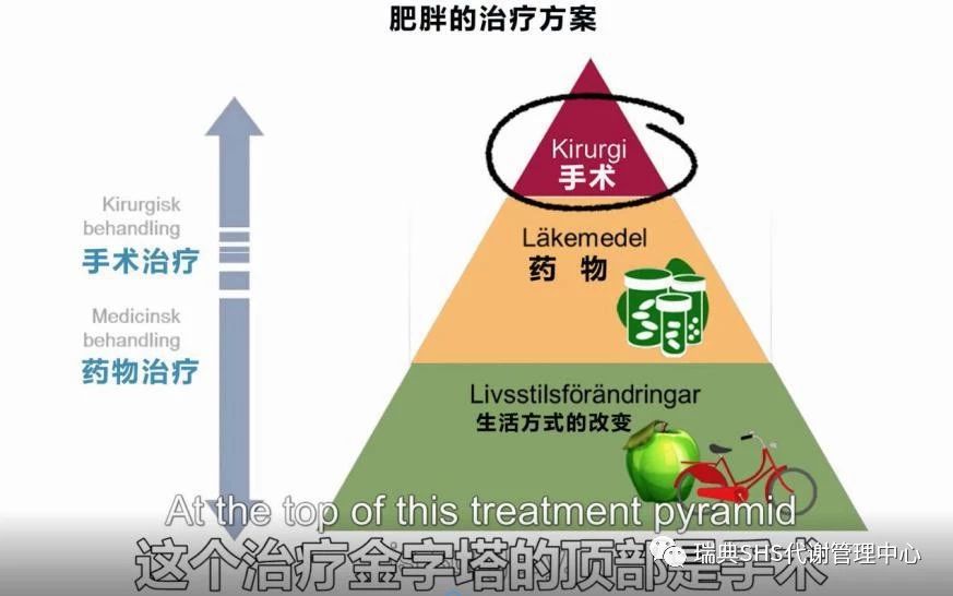 肥胖與胰島素抵抗孰為因孰為果二型糖尿病怎麼破