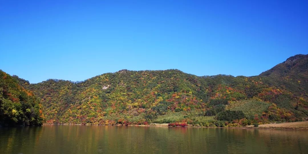 新宾姚家山水库位置图片