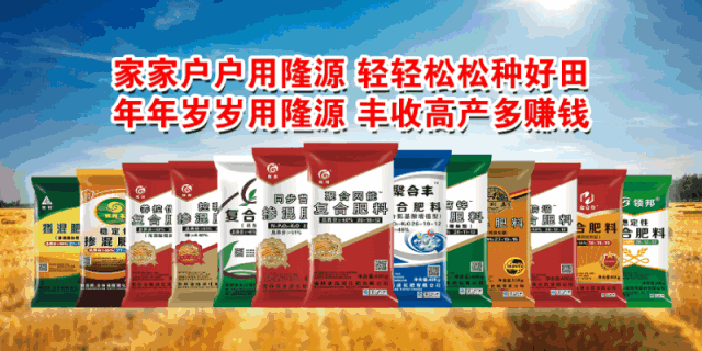 明星产品隆源复合肥料生物有机碳水稻专用肥