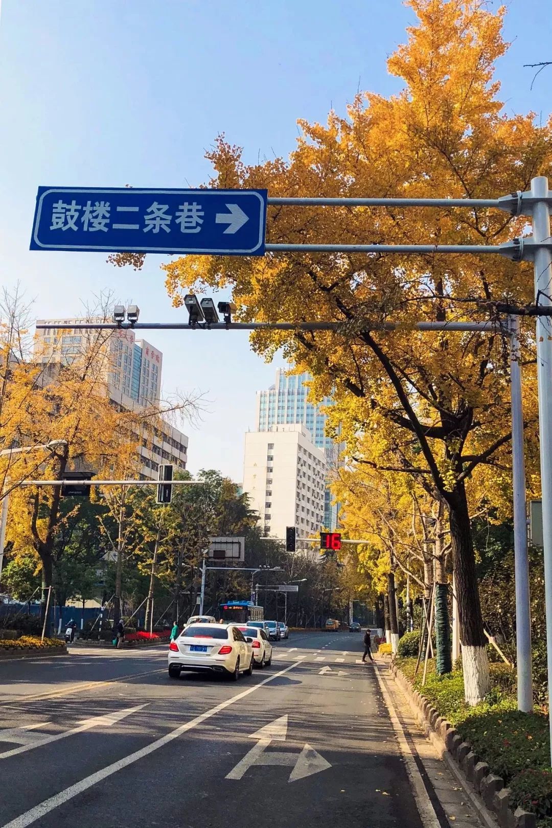 北京西路车祸图片