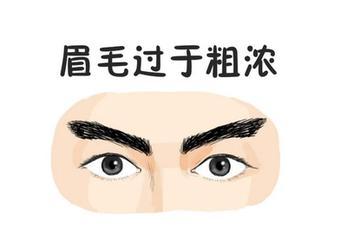 男人是豆眉图片