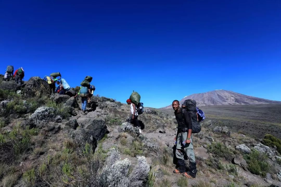 全面保障安全坦桑尼亚资深登山领队,登顶次数超过100次乞力马扎罗当地