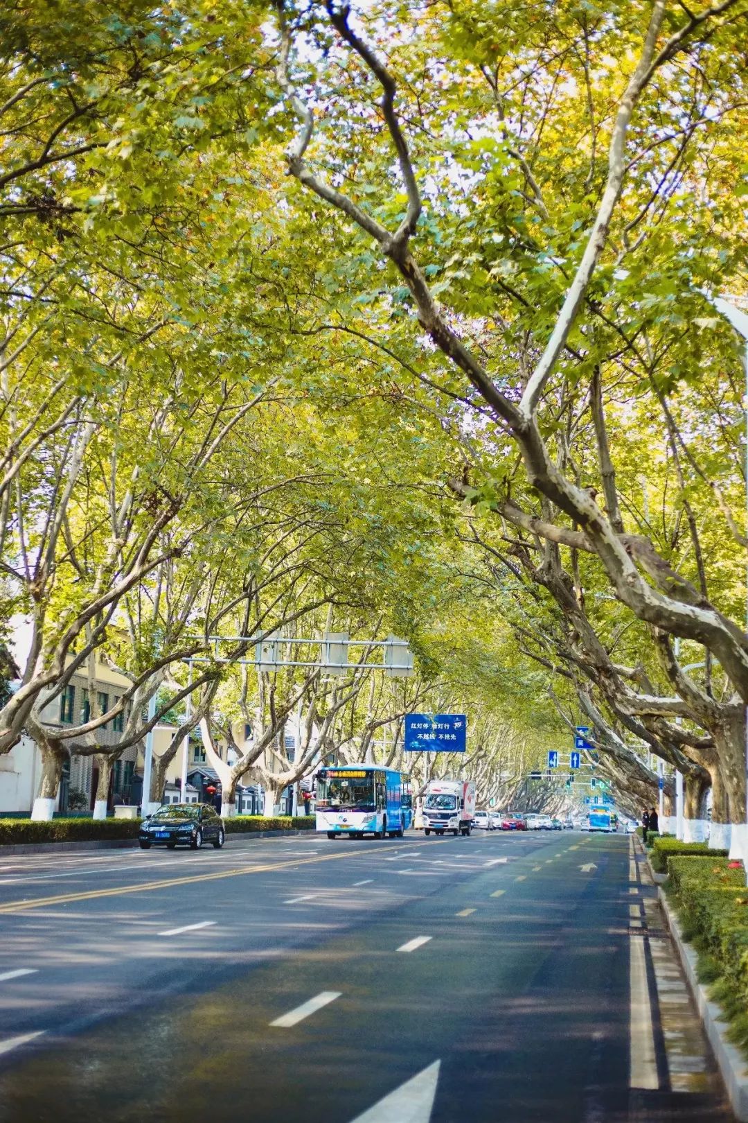 北京西路车祸图片