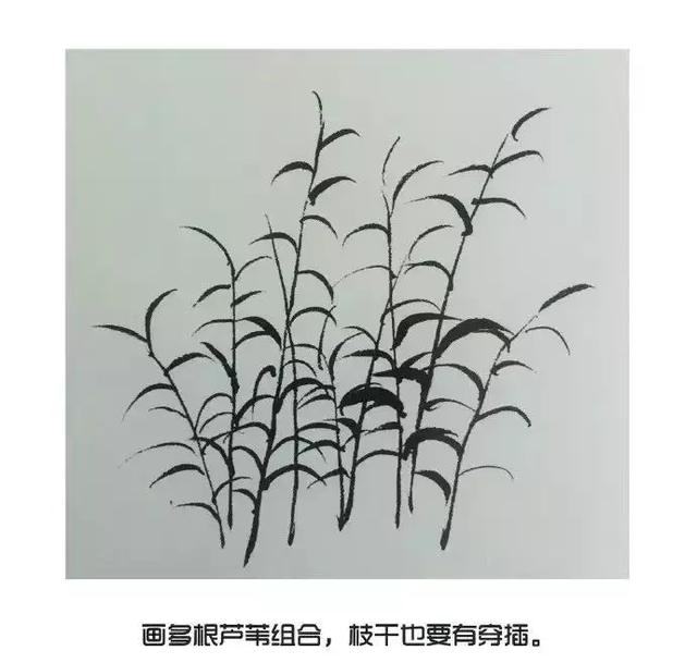 超详细国画入门教程教你芦苇的画法