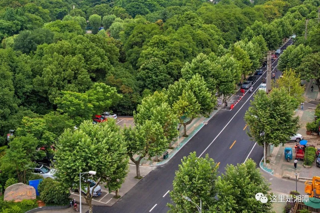 損壞樹木花草最高可罰一千元湘潭市城市綠化條例即將施行