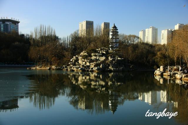 冬天的西寧人民公園沒有了夏日那熙熙攘攘的人群