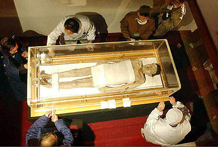 古代四大美女尸骨图片图片