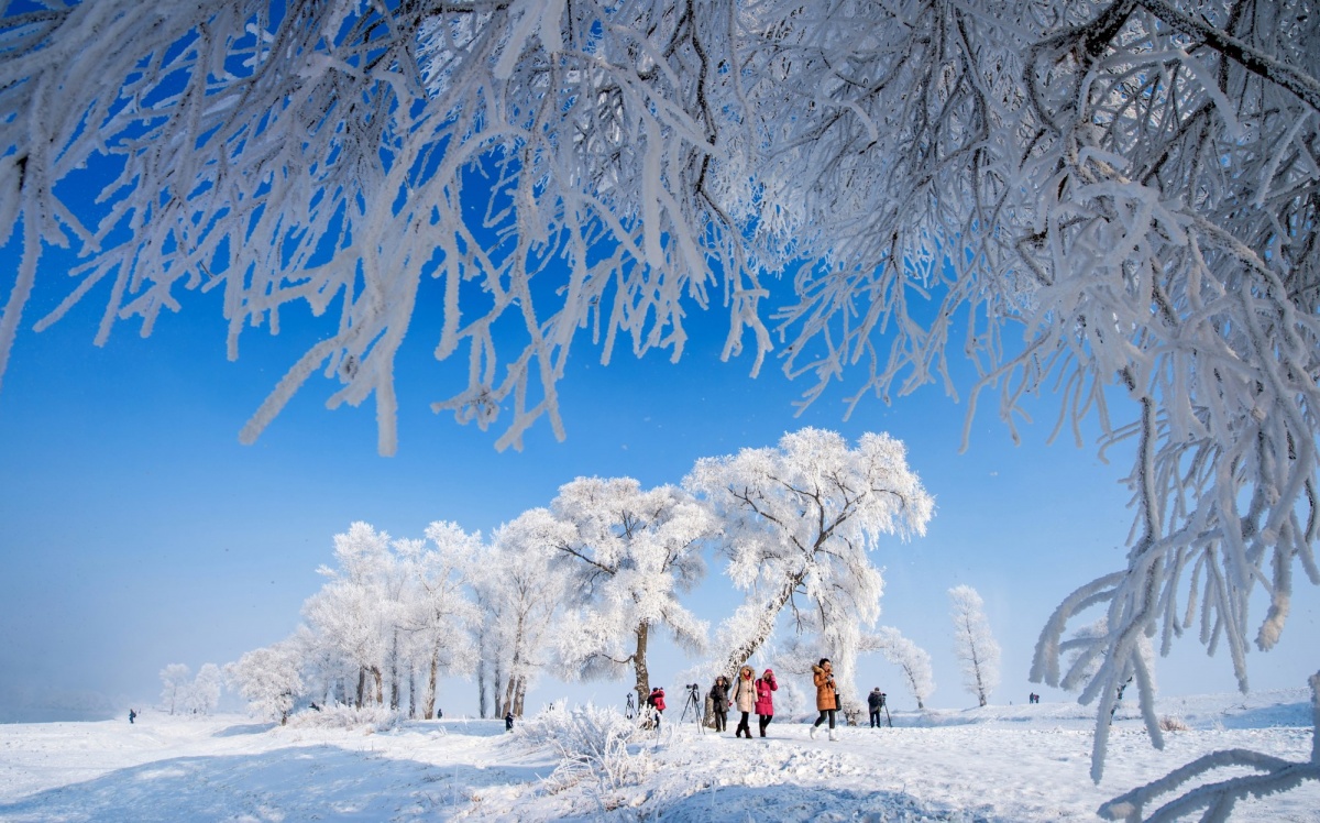 雪凇和雾凇图片