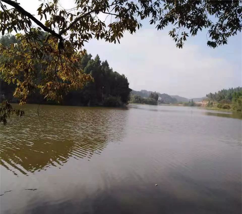 简阳三星镇宽沟村风景图片