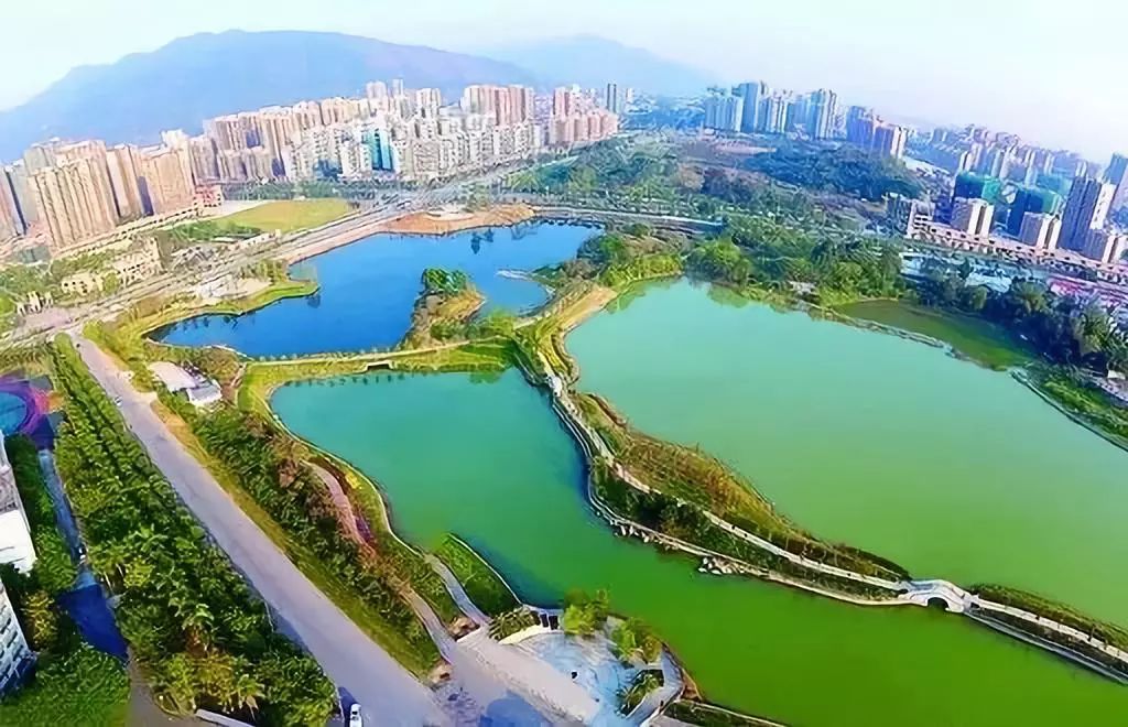 肇庆市东湖公园全景图图片
