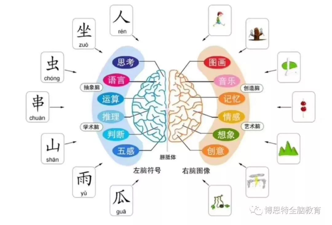 让孩子的大脑像照相机一样记忆永存