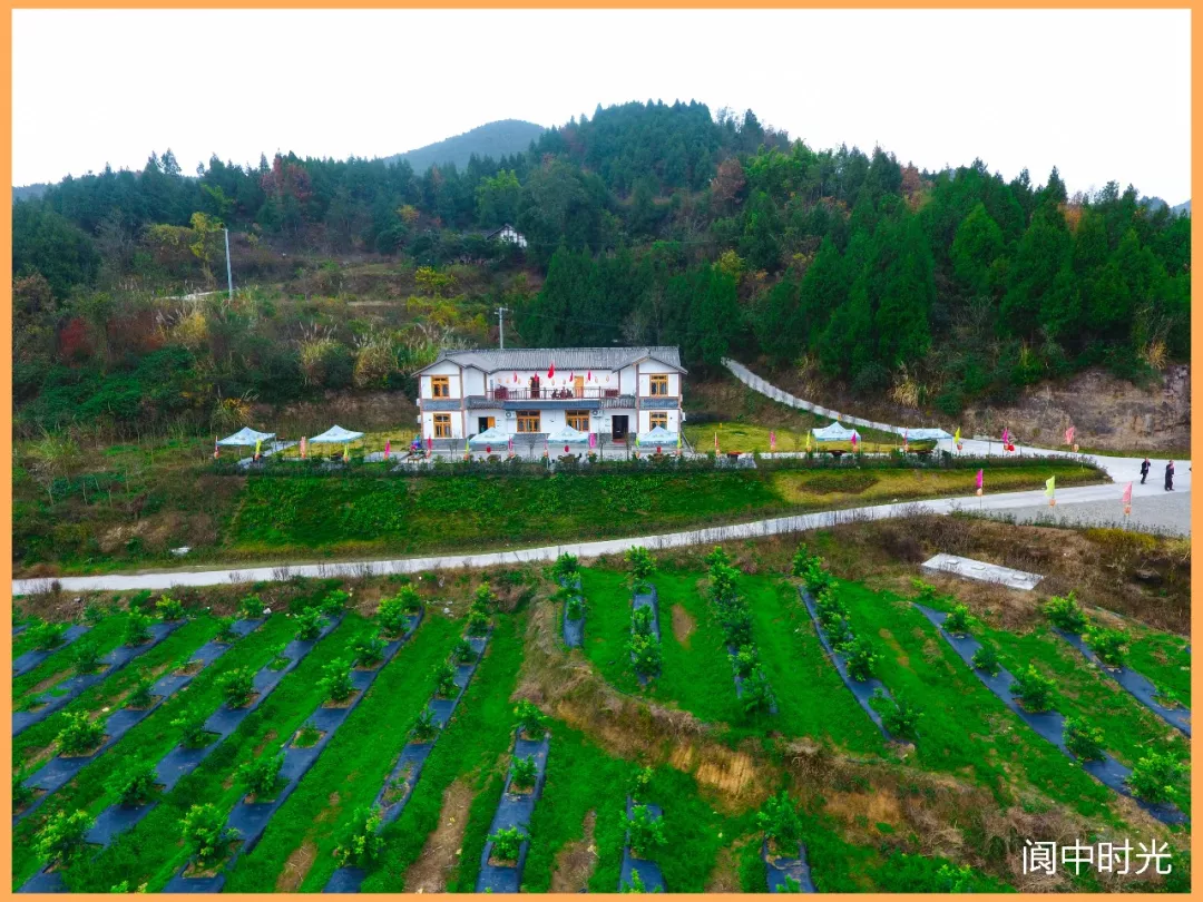 四川旅游村（四川旅游重点村）《四川乡村旅游》