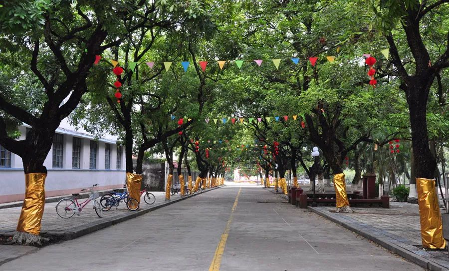 钦州学院旧校区图片