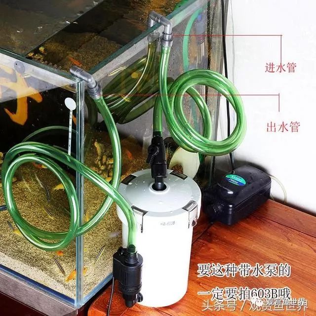 家用养鱼过滤器安装图片