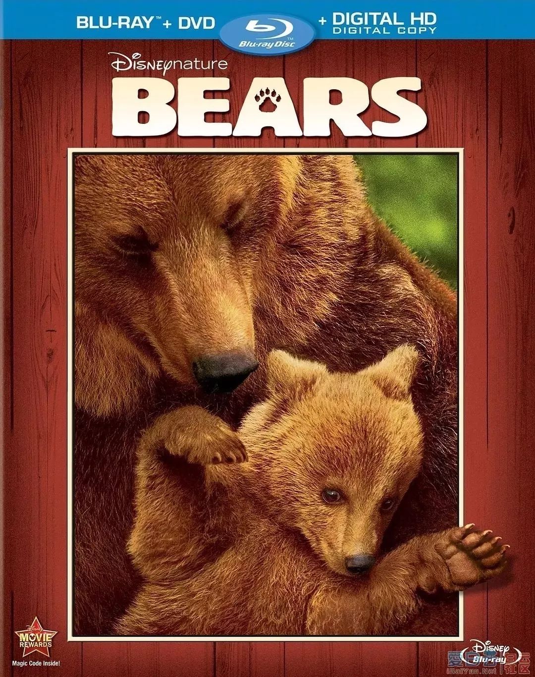 bears纪录片图片