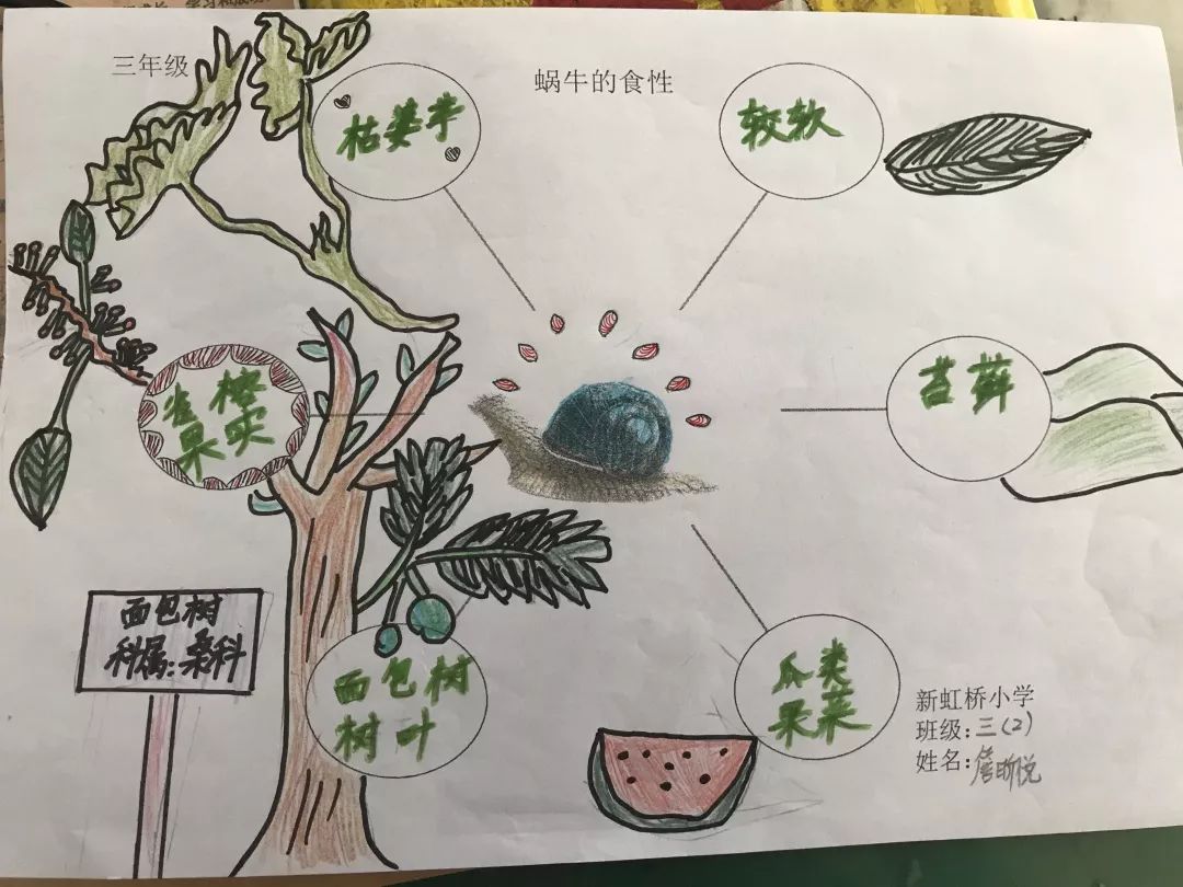 介绍小蜗牛蜗牛小报   滑动查看下一张图片 