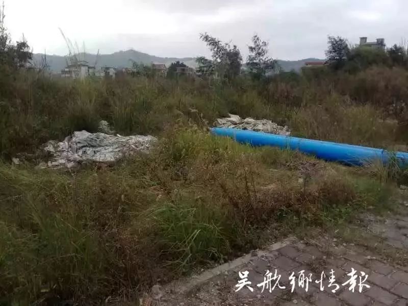 福北路鹤上镇环东湖村中国建筑前,生活废弃物品乱倾倒