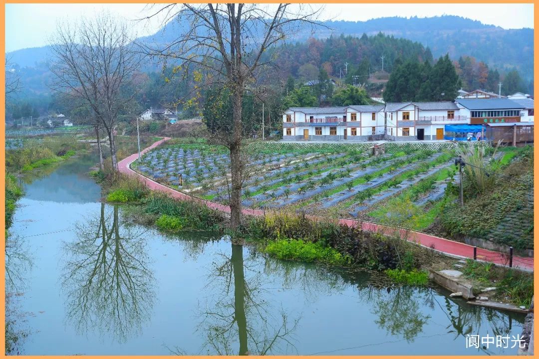 天林鄉五龍村位於閬中市西南部,是天林鄉的東大門,距城區22公里,幅員