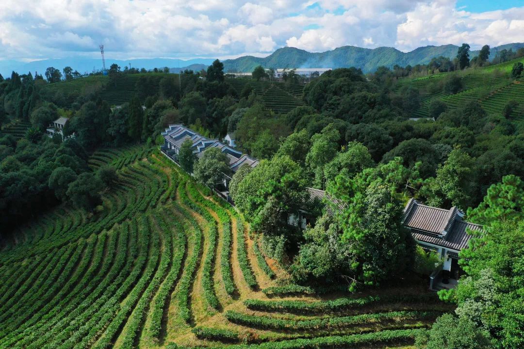 听得到自己心跳的地方云茶山庄