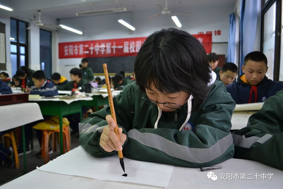 安阳市第二十中学图片