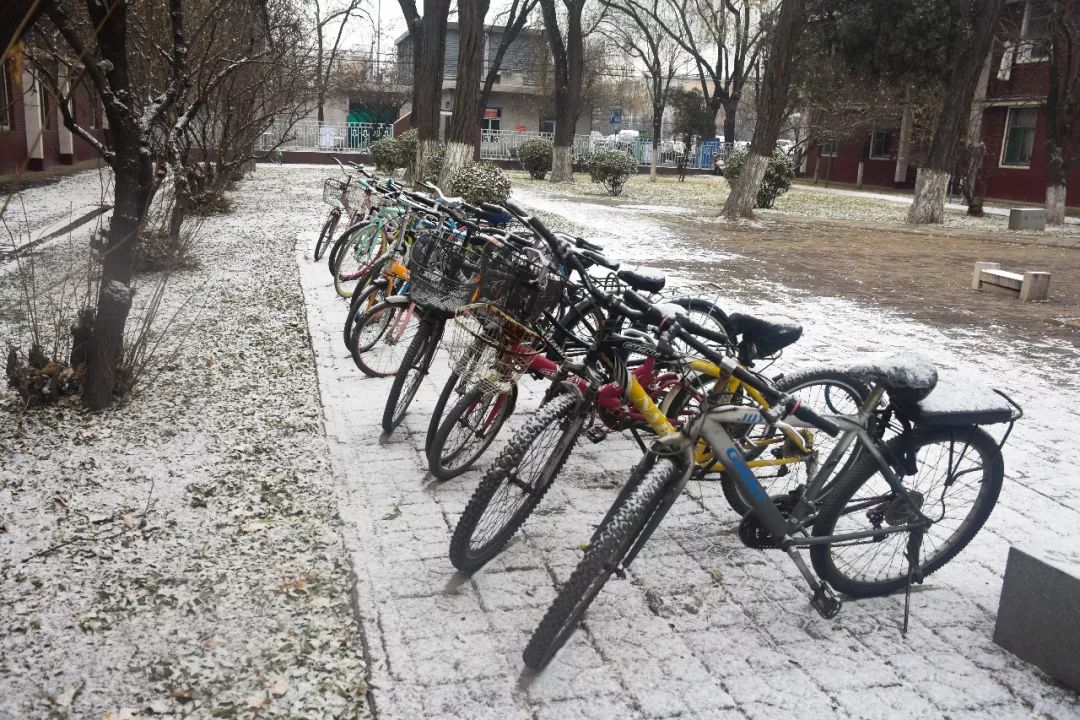 这样的雪山大仅有愿与山大共白首