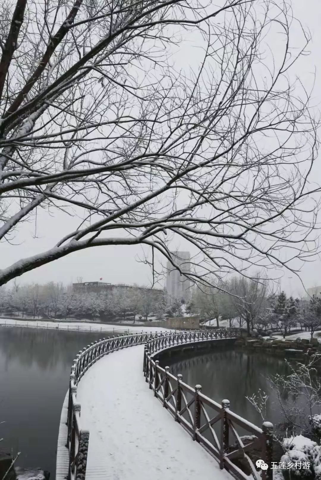 下雪啦!雪後五蓮的美成什麼樣你知道嗎?_雪景