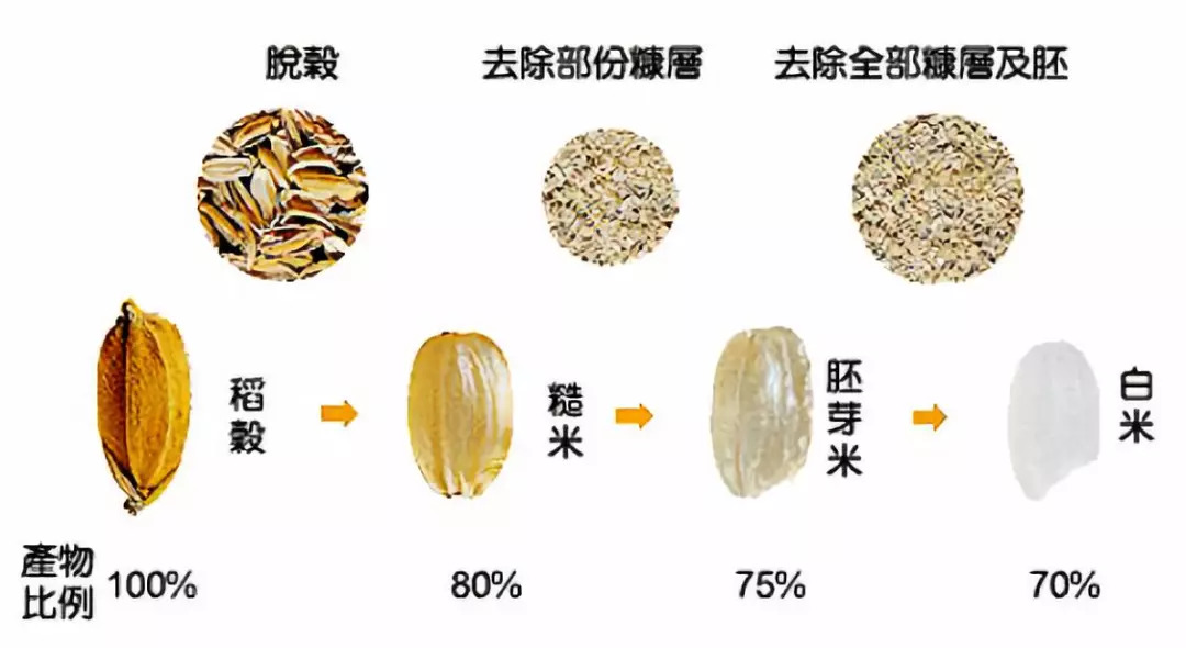 从田野到餐桌,只为与你相遇:用生态发芽糙米手工制作的米线,这般自然