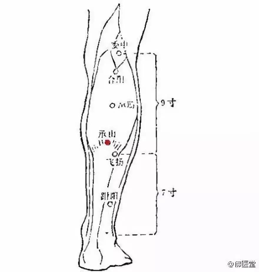 承山在足太阳膀胱经上,膀胱经主人体一身之阳气.