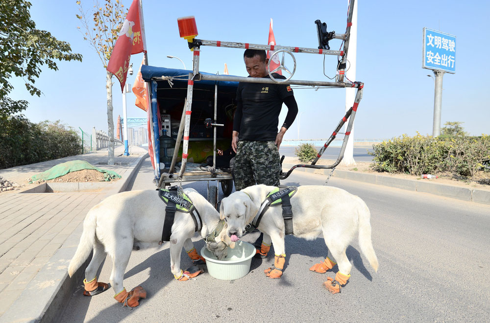 狗拉車徒步七千裡去麗江,100天后從遼寧走到湖北