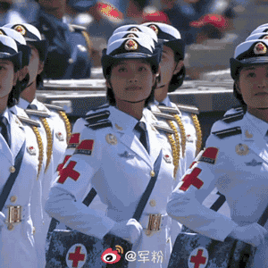 女兵海军敬礼动态图片图片