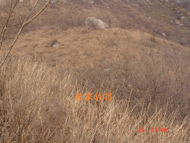 禹州老山坪风景区图片