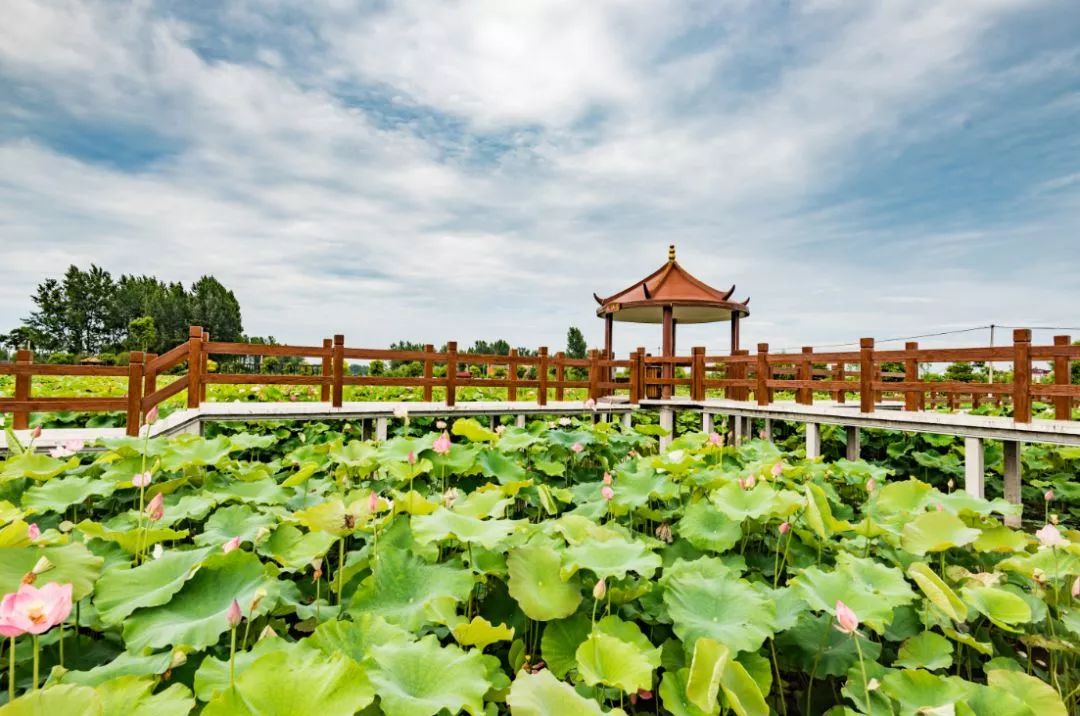 喜大普奔!馬鞍山再添一處國家3a級旅遊景區_金色