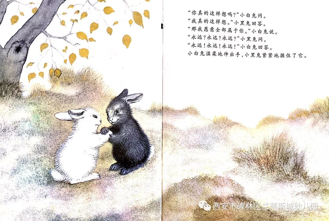 黑兔和白兔上山采蘑菇图片