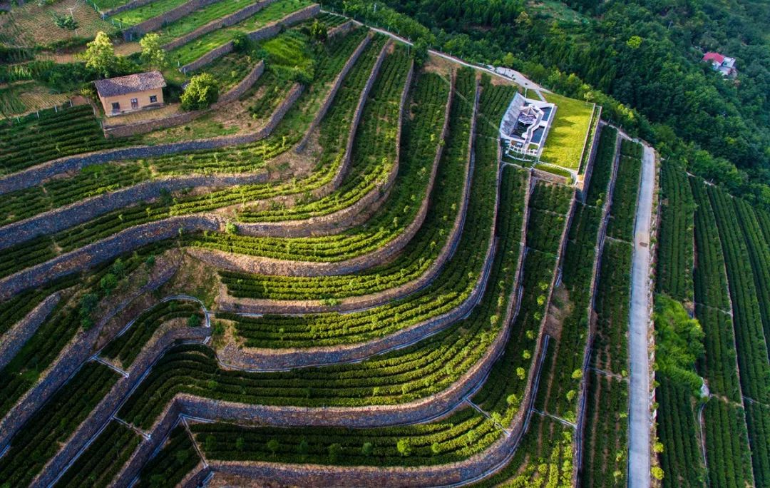 旬阳县城镇坪县城平利县城岚皋县城紫阳县城宁陕县城石泉县城汉阴县