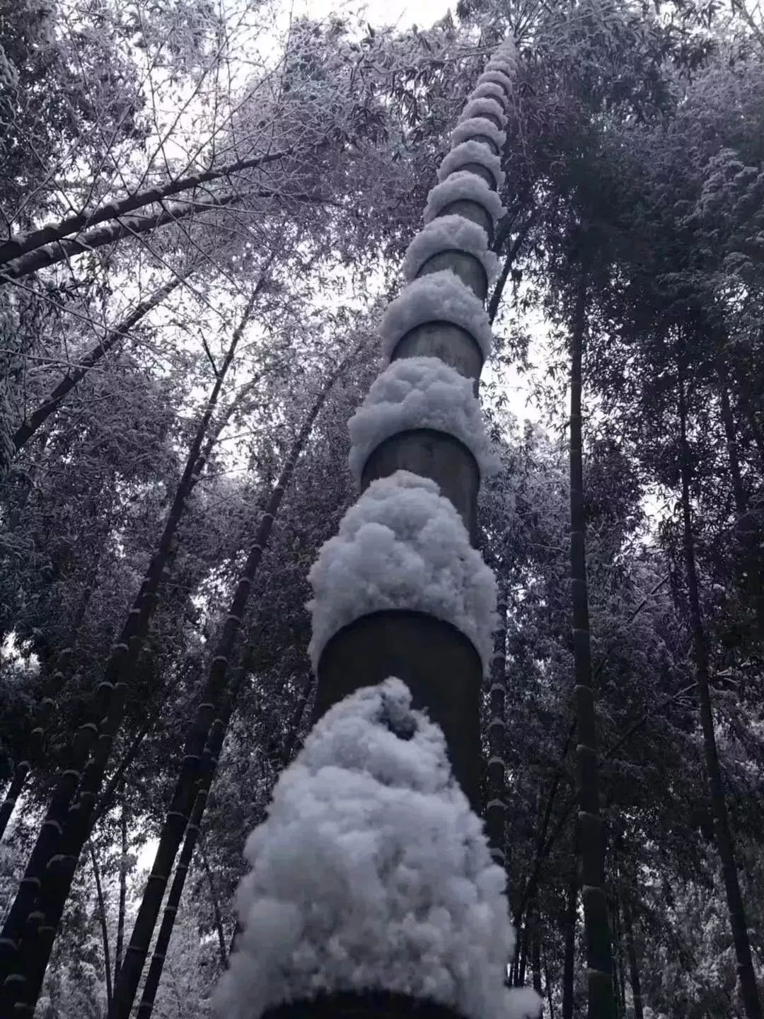 宜宾附近下雪的景点图片